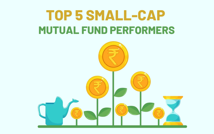 Top 5 small cap mf