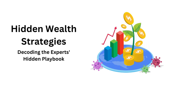 Hidden Wealth Strategies Decoding the Experts' Hidden Playbook