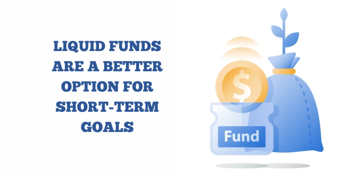 Liquid Funds Are A Better Option For Short-Term Goals