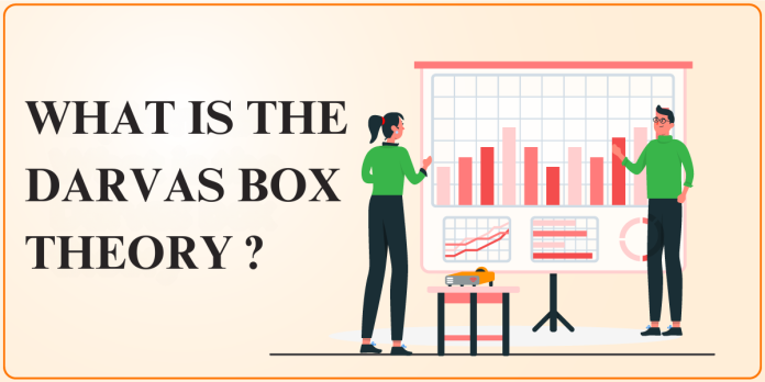 What is the Darvas box theory