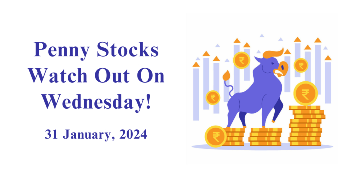 Penny Stocks to watch - 31 January